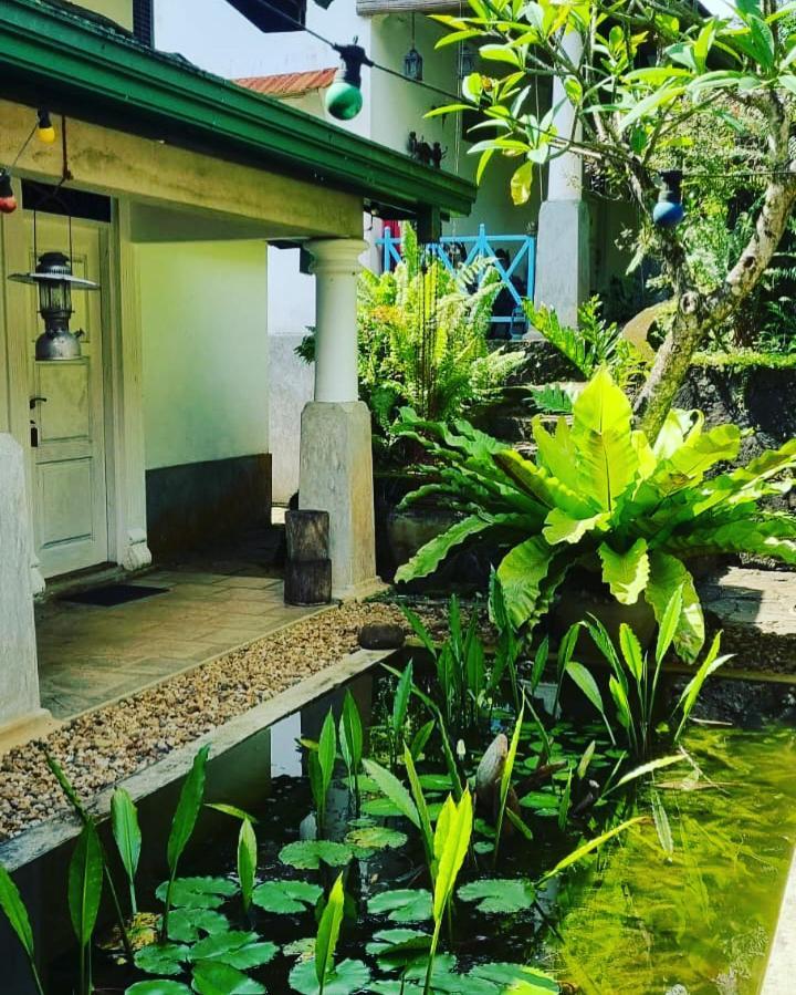 Jansen'S Bungalow Sinharaja Rainforest Retreat Kudawe Екстериор снимка