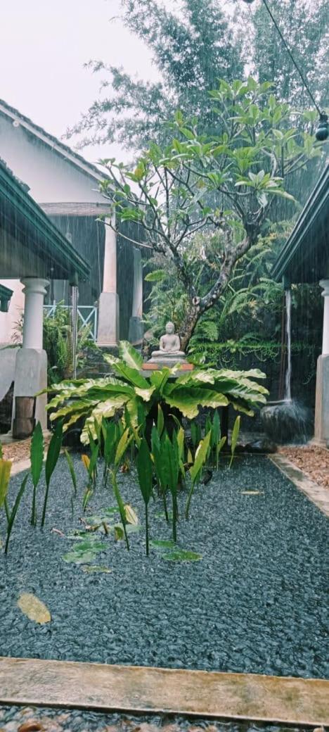 Jansen'S Bungalow Sinharaja Rainforest Retreat Kudawe Екстериор снимка